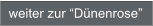 weiter zur Dnenrose