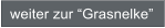 weiter zur Grasnelke