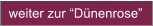 weiter zur Dnenrose